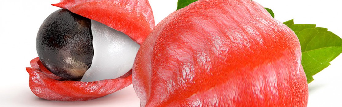 Guarana: bylinka na potenciu, ktorá u vás nesmie chýbať